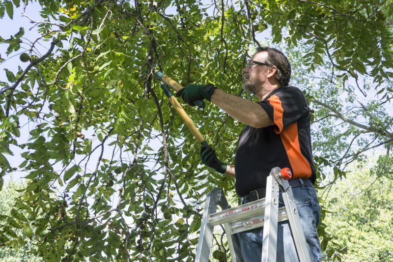 Tree Inspection and Diagnosis