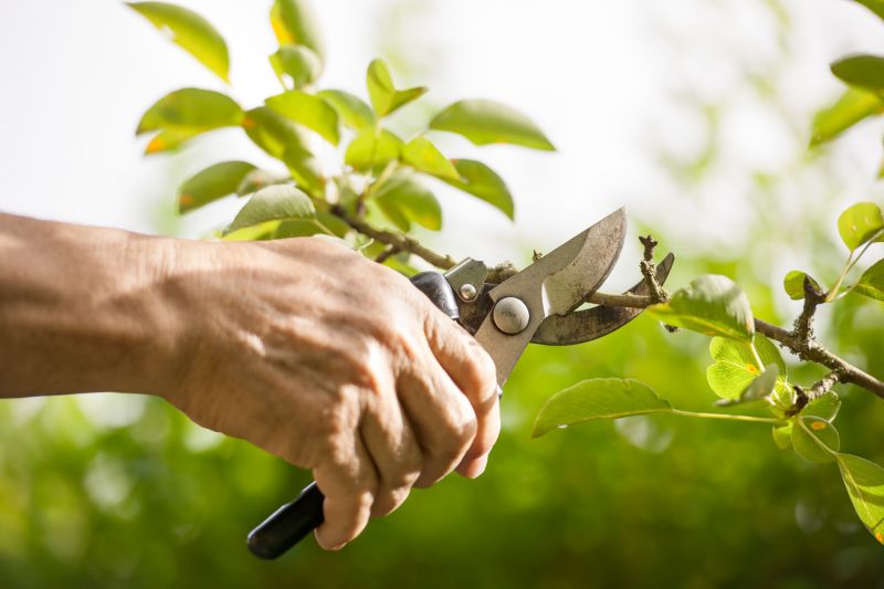 Pruning with Precision Tools